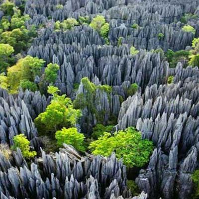 Tsingy De Bemaraha