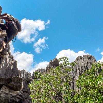 Abenteuer Baobabs  und Tsingy